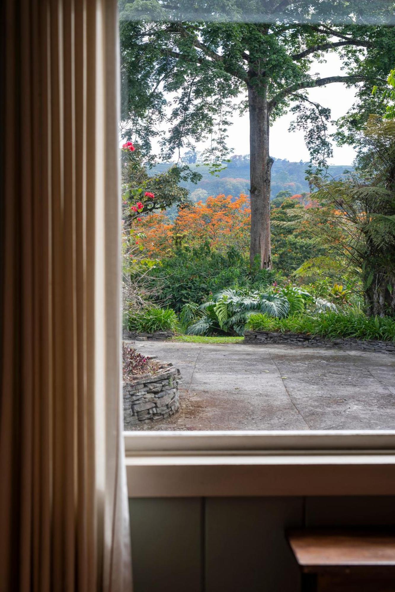 Aquiares Coffee Farm Casa Hacienda La Esperanza Panzió Turrialba Kültér fotó