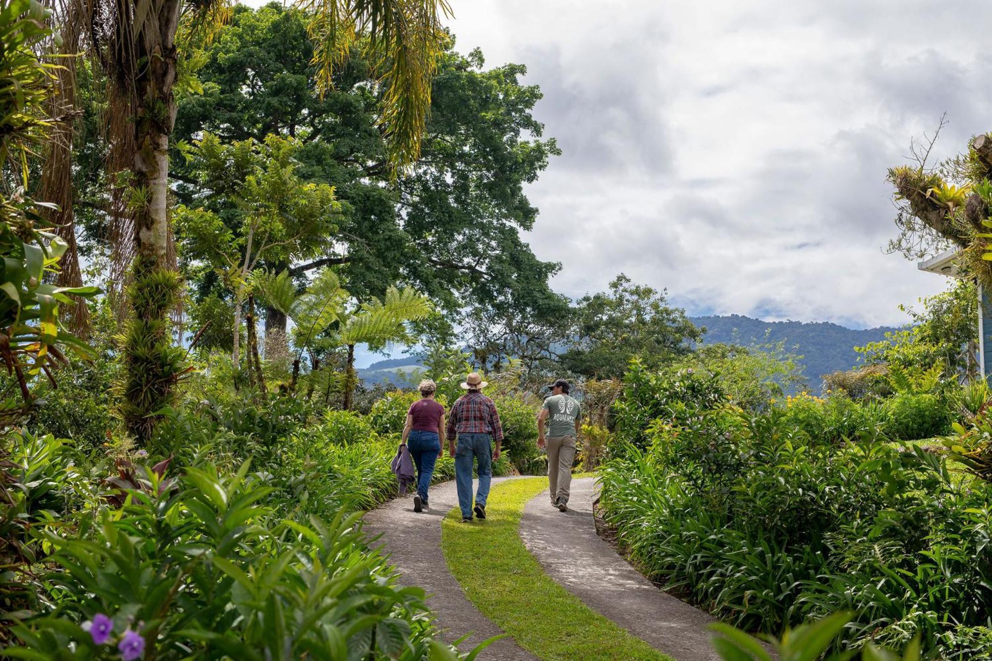 Aquiares Coffee Farm Casa Hacienda La Esperanza Panzió Turrialba Kültér fotó