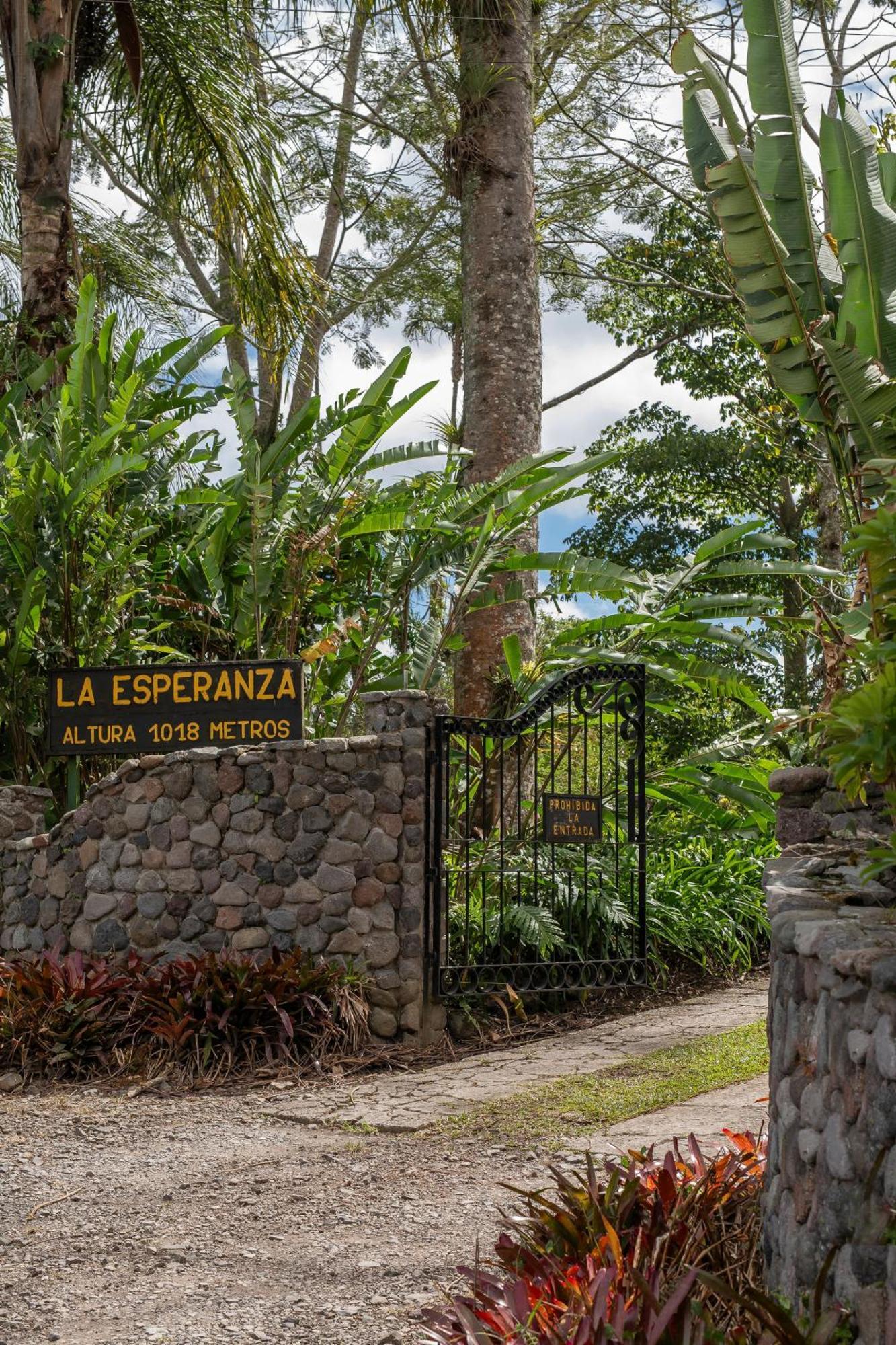 Aquiares Coffee Farm Casa Hacienda La Esperanza Panzió Turrialba Kültér fotó