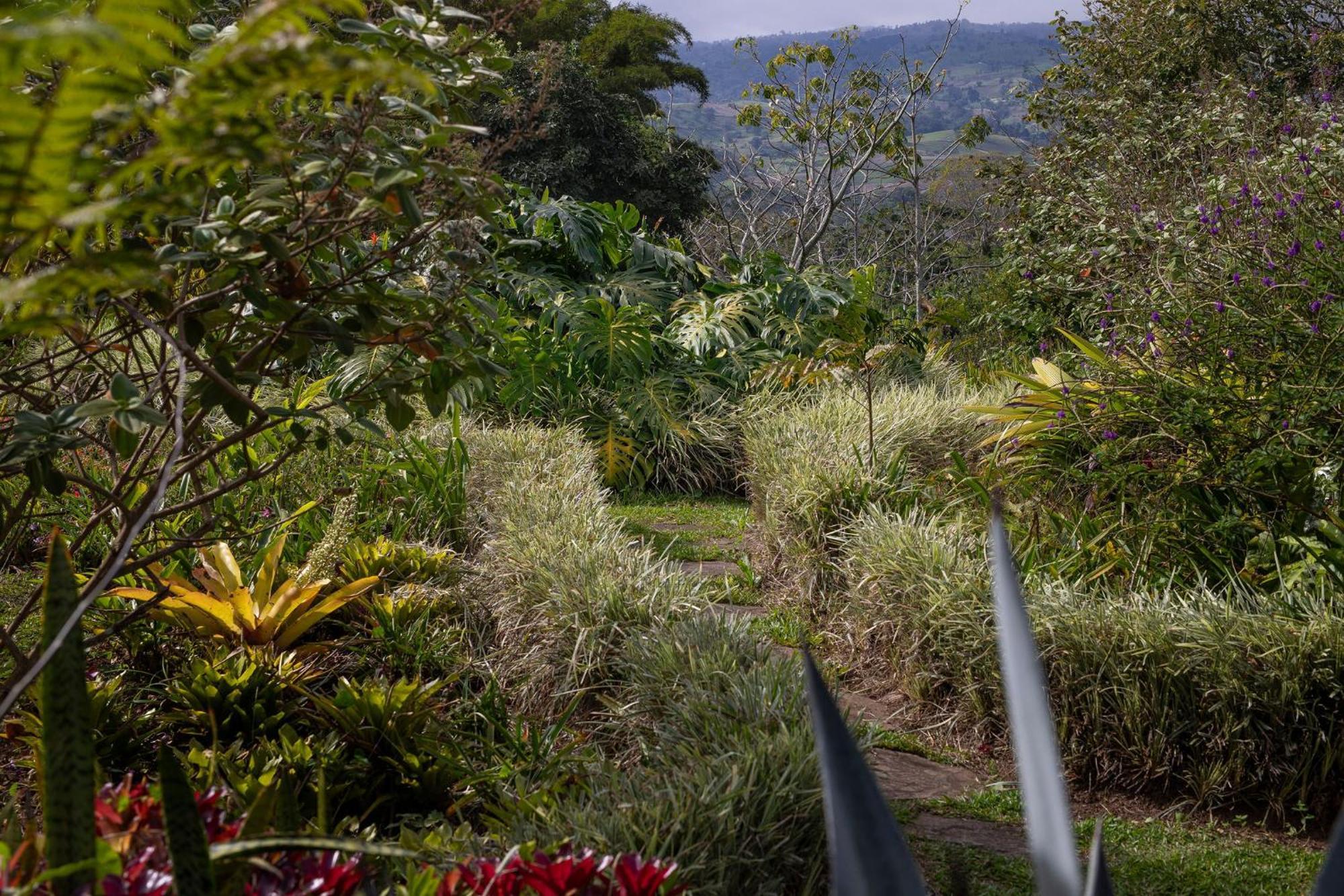 Aquiares Coffee Farm Casa Hacienda La Esperanza Panzió Turrialba Kültér fotó