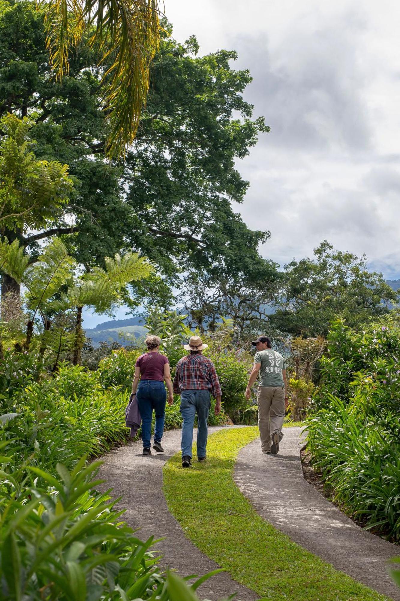 Aquiares Coffee Farm Casa Hacienda La Esperanza Panzió Turrialba Kültér fotó