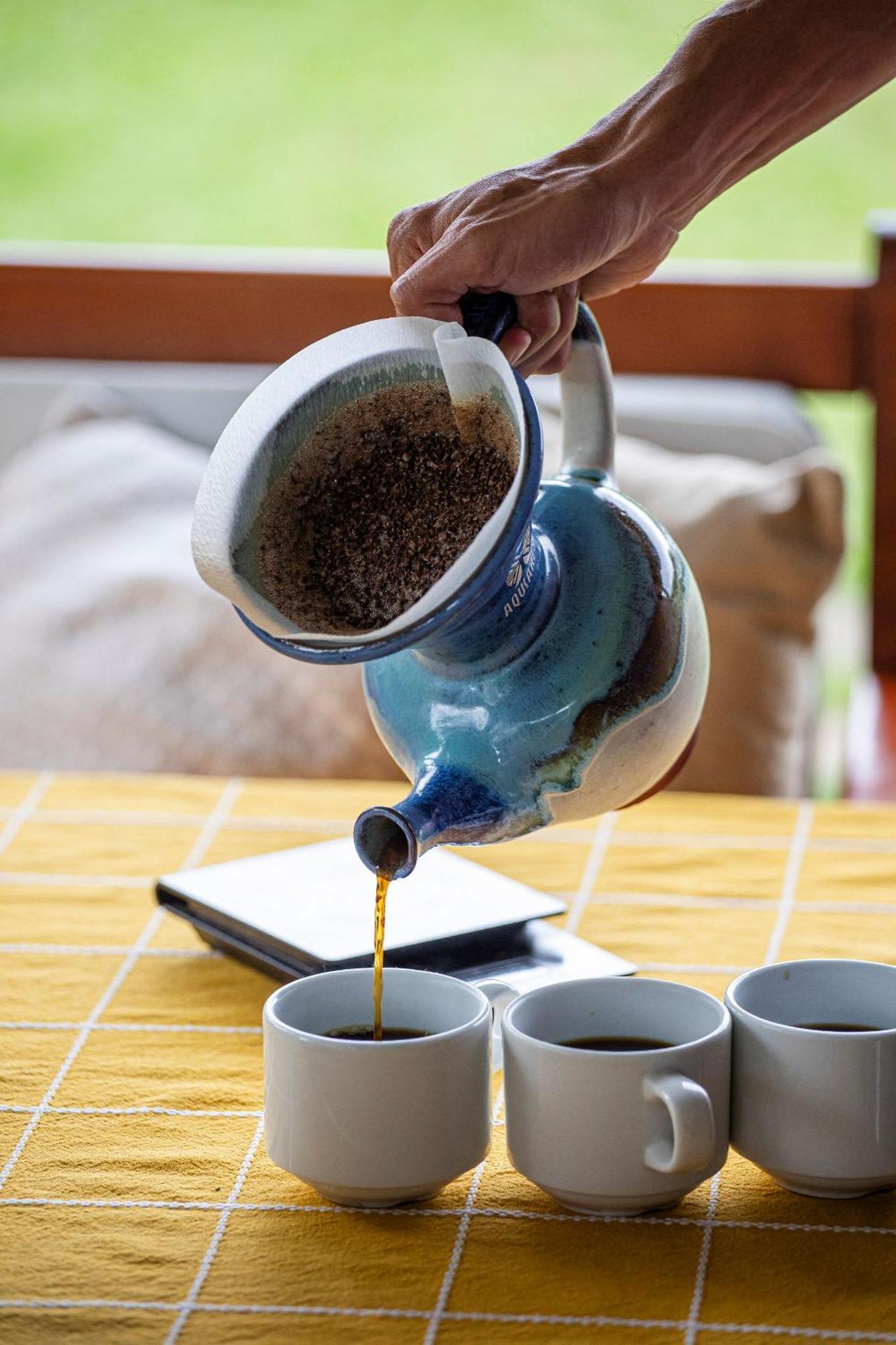 Aquiares Coffee Farm Casa Hacienda La Esperanza Panzió Turrialba Kültér fotó