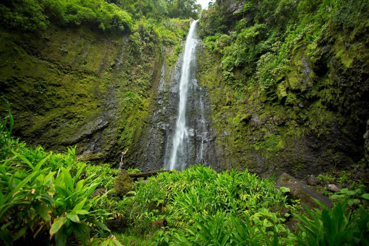 Aquiares Coffee Farm Casa Hacienda La Esperanza Panzió Turrialba Kültér fotó