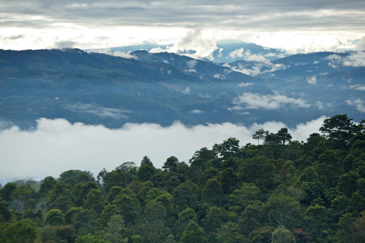 Aquiares Coffee Farm Casa Hacienda La Esperanza Panzió Turrialba Kültér fotó